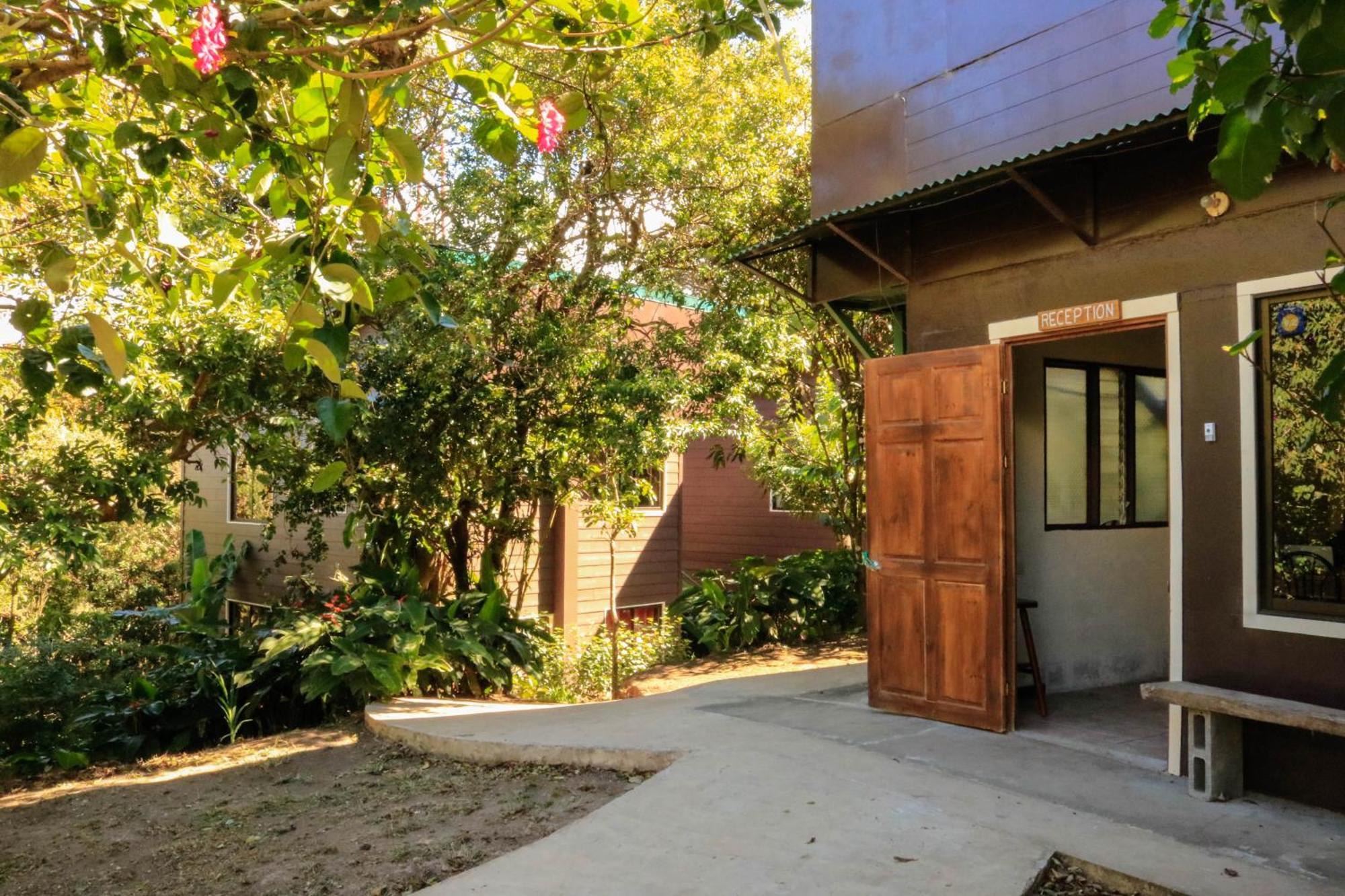 Moon Forest Apartments Monteverde Екстериор снимка