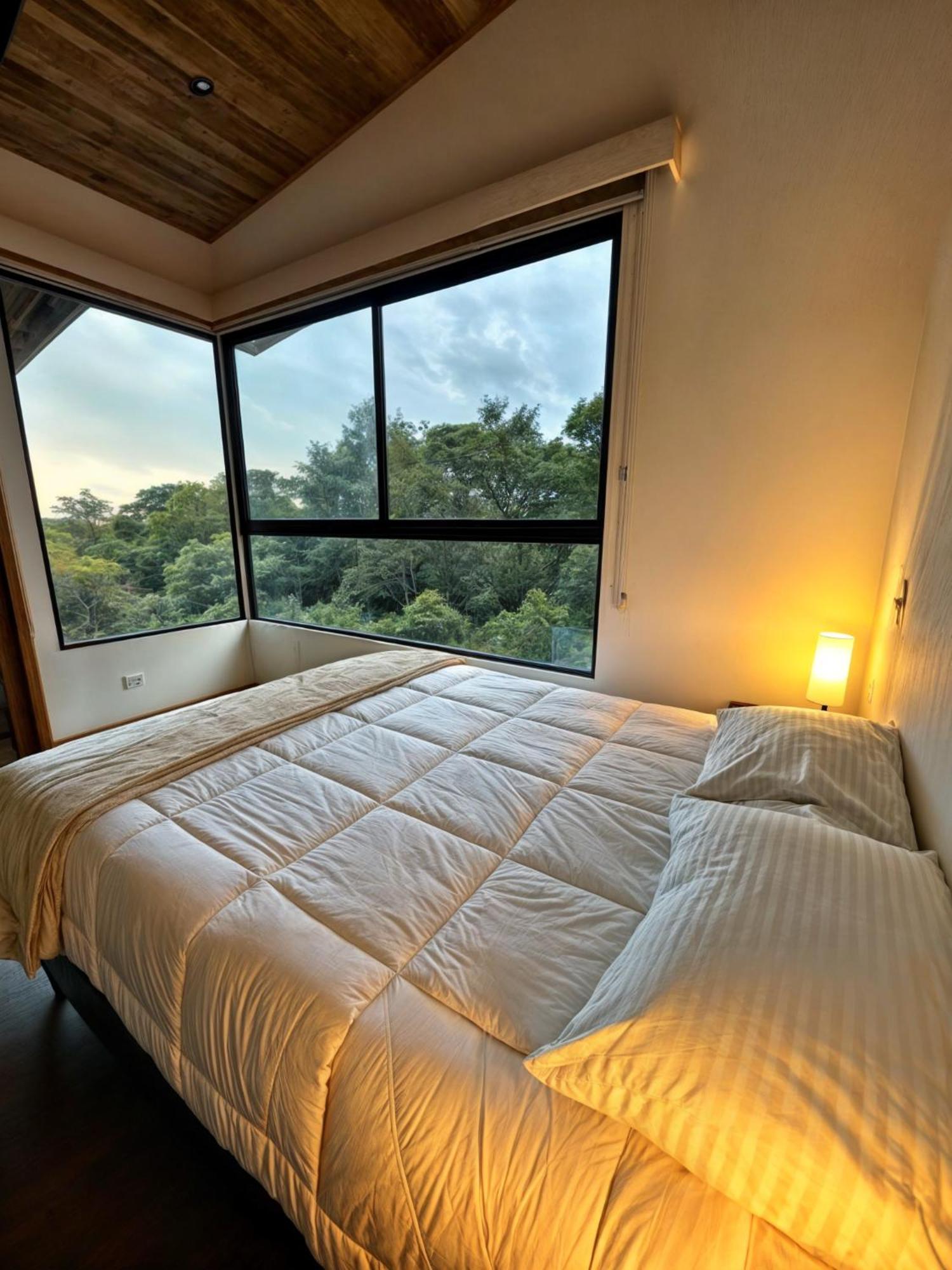 Moon Forest Apartments Monteverde Екстериор снимка