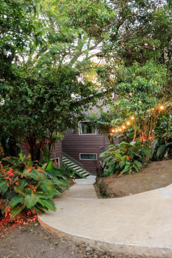 Moon Forest Apartments Monteverde Екстериор снимка