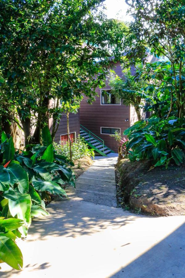 Moon Forest Apartments Monteverde Екстериор снимка