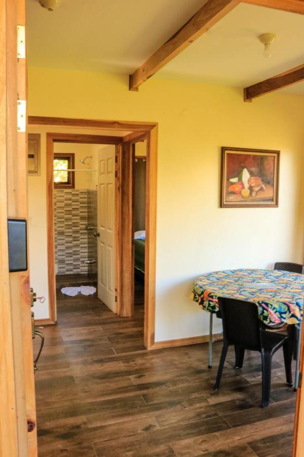 Moon Forest Apartments Monteverde Екстериор снимка