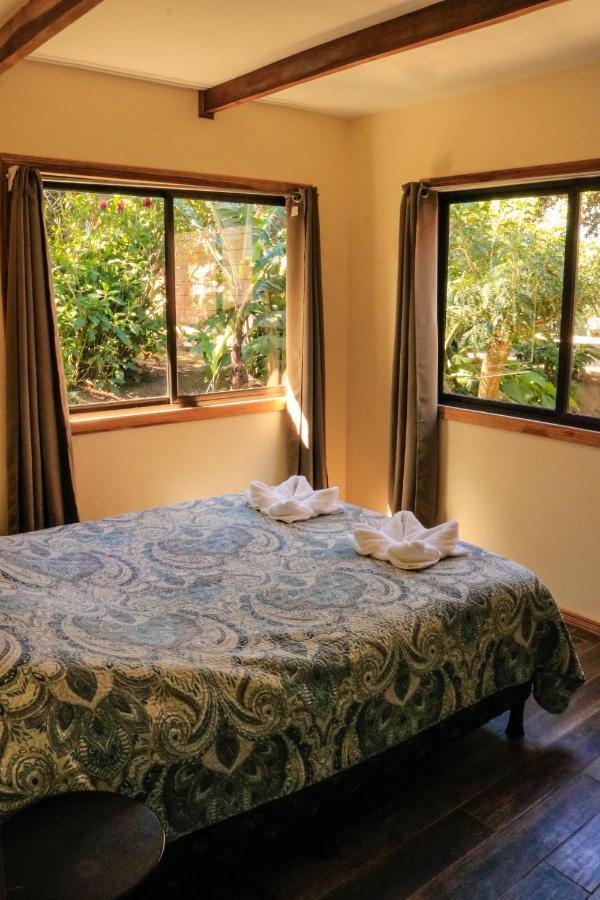 Moon Forest Apartments Monteverde Екстериор снимка