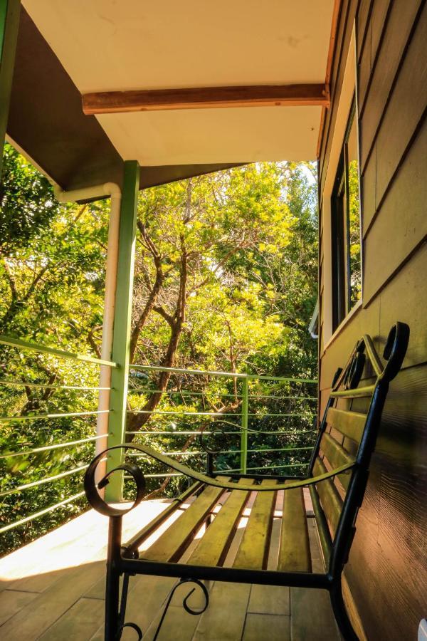 Moon Forest Apartments Monteverde Екстериор снимка